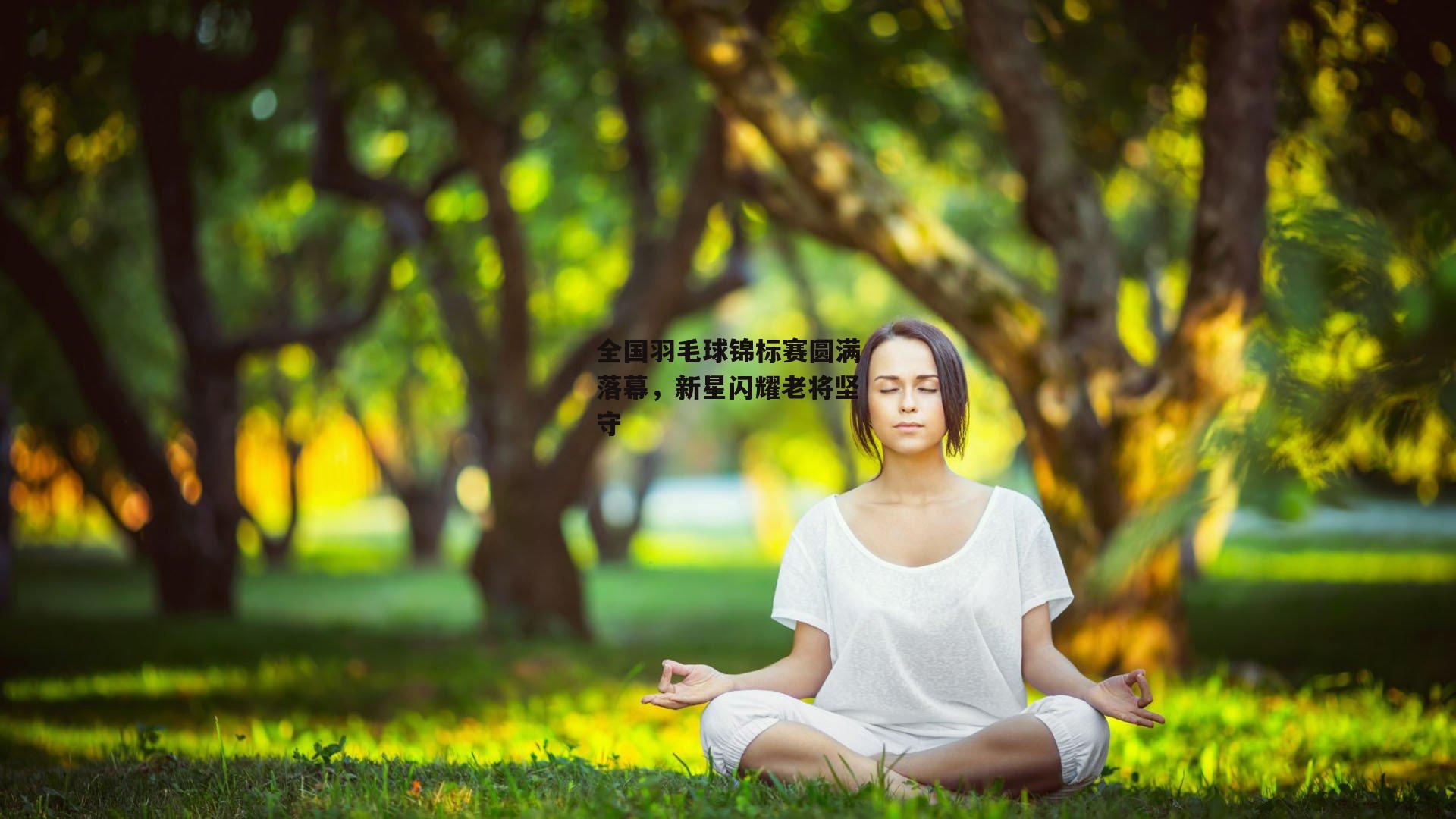 全国羽毛球锦标赛圆满落幕，新星闪耀老将坚守
